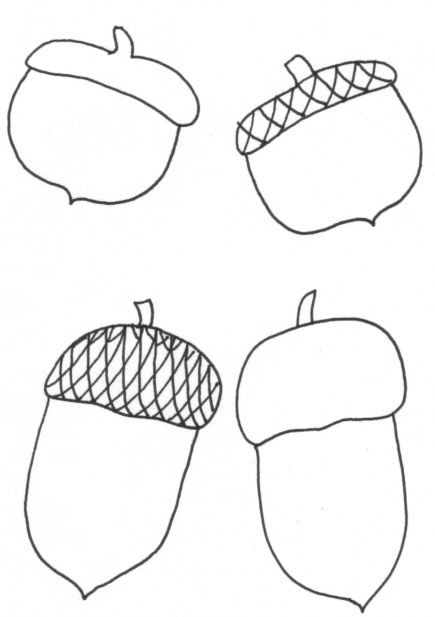 acorn coloring pages - photo #34