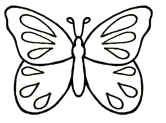 Butterfly To Trace