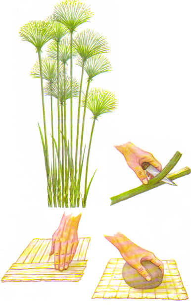 papyrus paper plant made lesley 1985 perrins facts york file